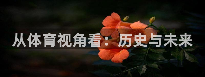 速球体育官网入口：从体育视角看：历史与未来