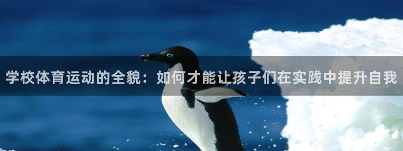 速球体育app官网入口：学校体育运动的全貌：如何才能让孩子们在实践中提升自我