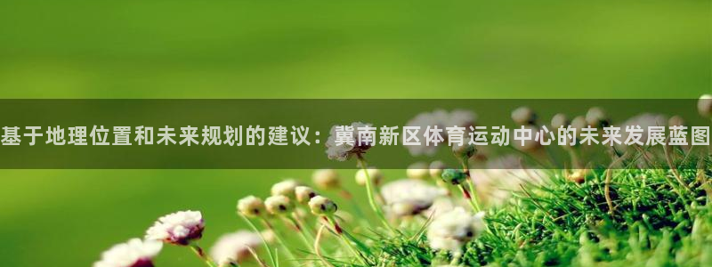 速球体育：基于地理位置和未来规划的建议：冀南新区体育运动中心的未来发展蓝图