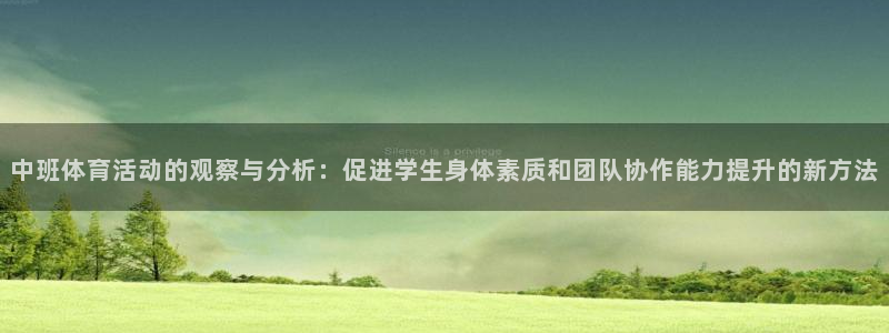 速球体育官方入口地址：中班体育活动的观察与分析：促进学生身体素质和团队协作能力提升的新方法