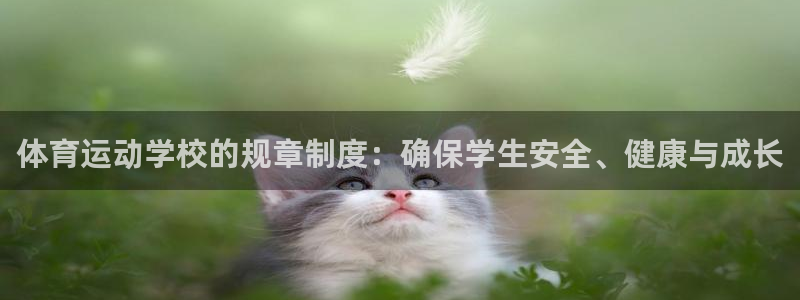 速球体育官方版下载：体育运动学校的规章制度：确保学生安全、健康与成长