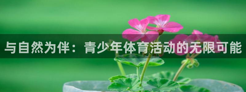 速球体育：与自然为伴：青少年体育活动的无限可能