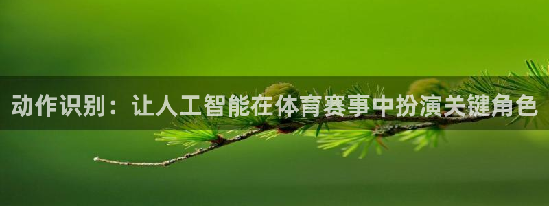 速球体育App下载：动作识别：让人工智能在体育赛事中扮演关键角色